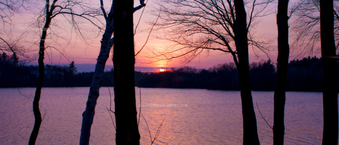 Sunset over the Pond